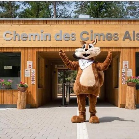 Gite Au Coin Du Chene Lembach Ngoại thất bức ảnh